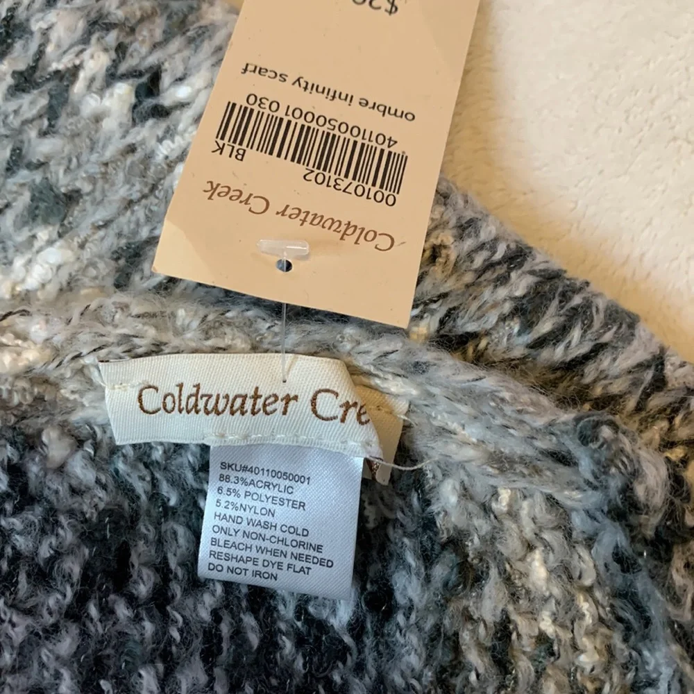 Coldwater Creek Ombre Infinity Scarf